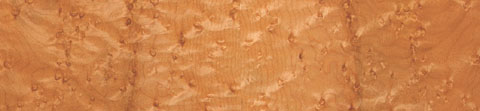 Folk Vintage back: Quilted bird's eye maple